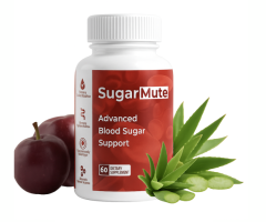 Best Breakfast for Blood Sugar Balance: Foods, Routines