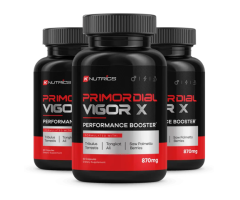Primordial Vigor X: Revitalize Your Energy and Improve Stamina!