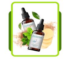 ZenCortex: Natural Hearing Protection